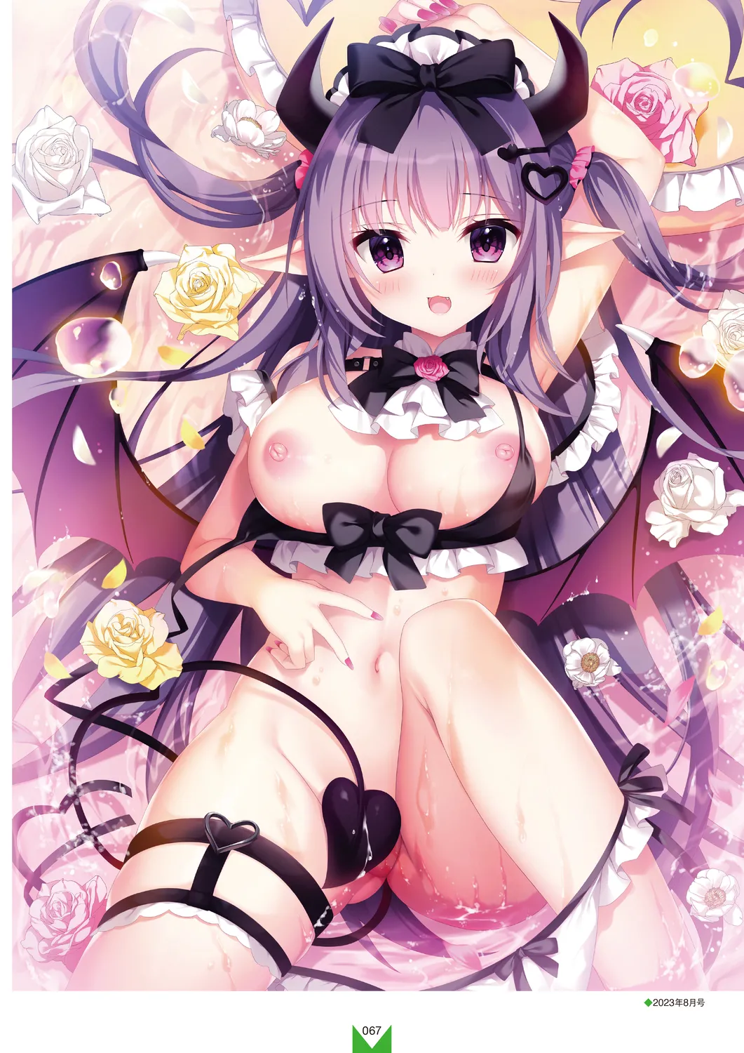 メガストア COVER ILLUSTRATIONS EX Page.69