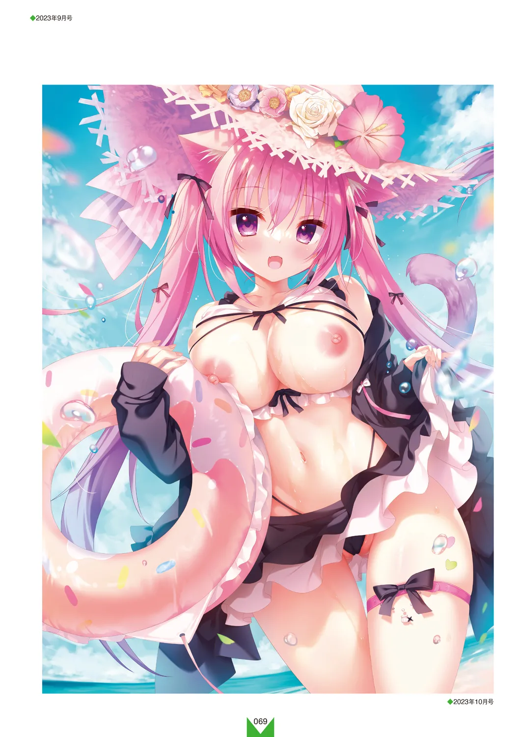 メガストア COVER ILLUSTRATIONS EX Page.71