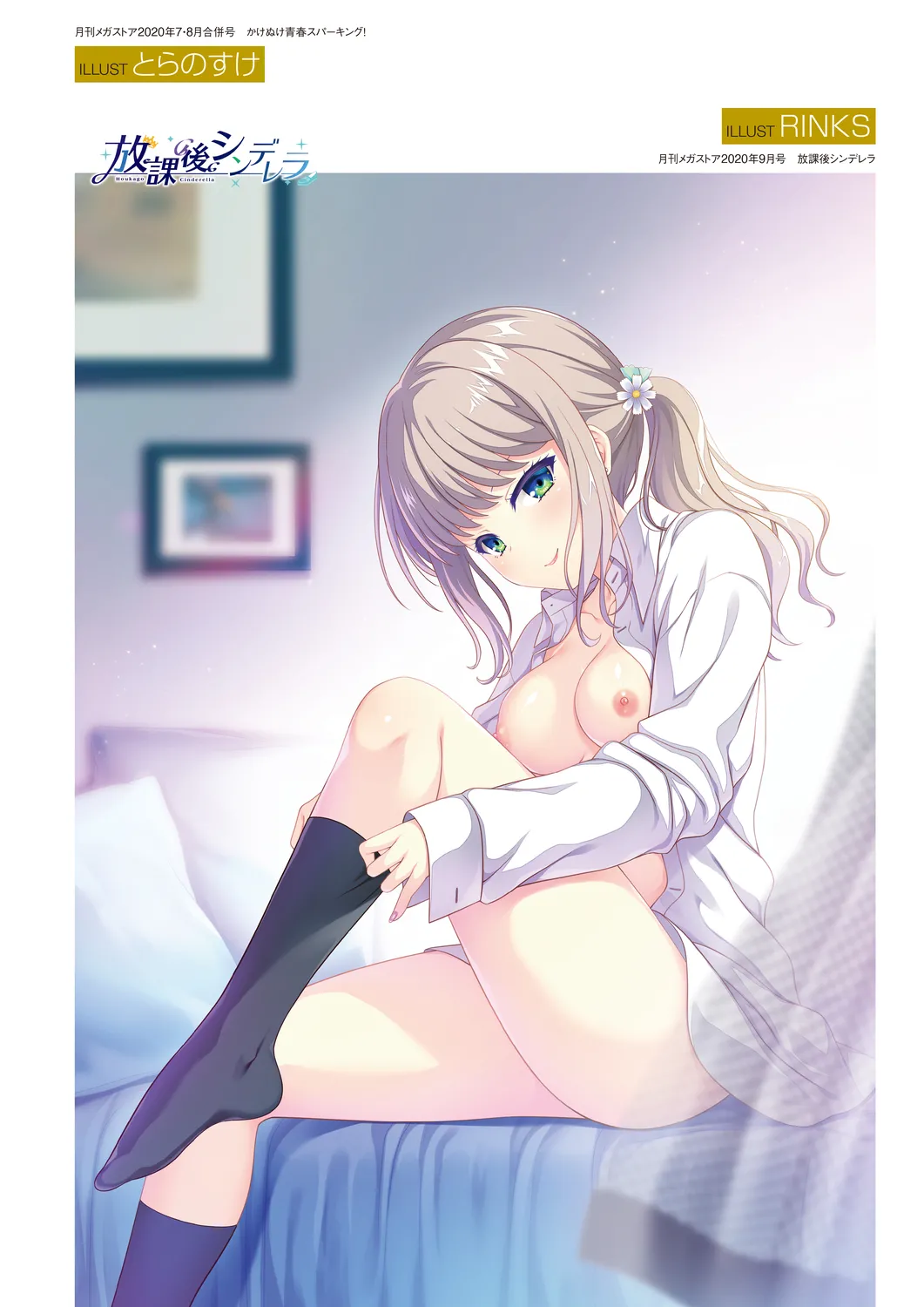 メガストア COVER ILLUSTRATIONS EX Page.85