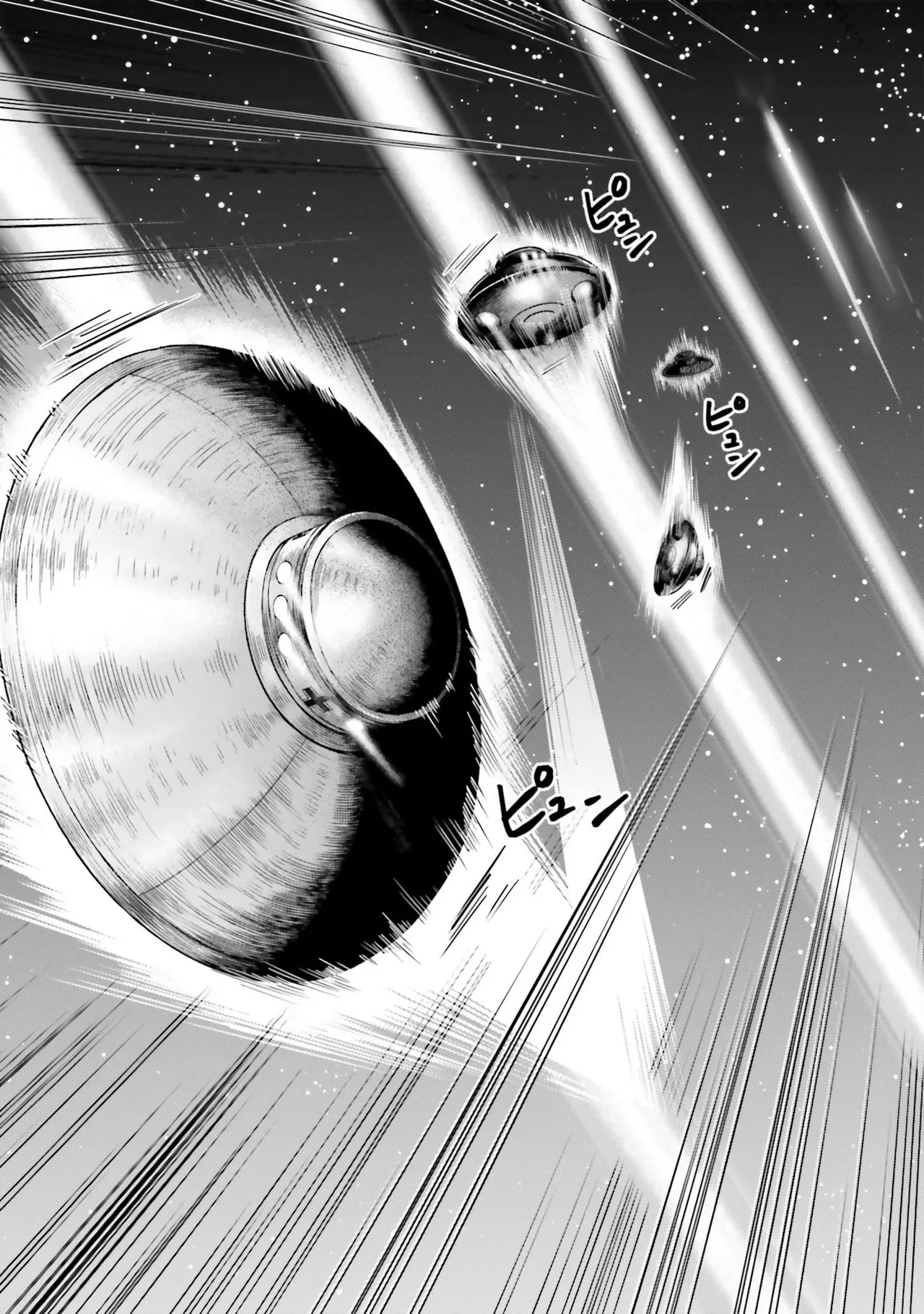 Uterus of the Blackgoat 黒山羊の仔袋 4 Page.49