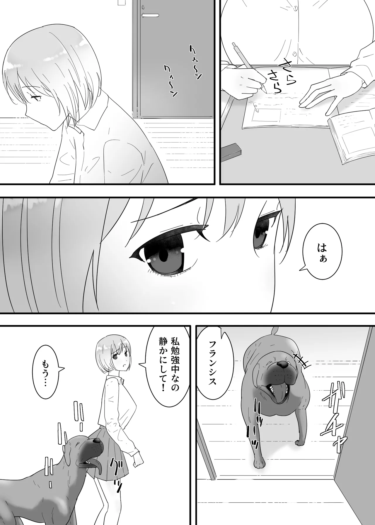 フランシスは女子校生に種付けしたいっ! Page.13