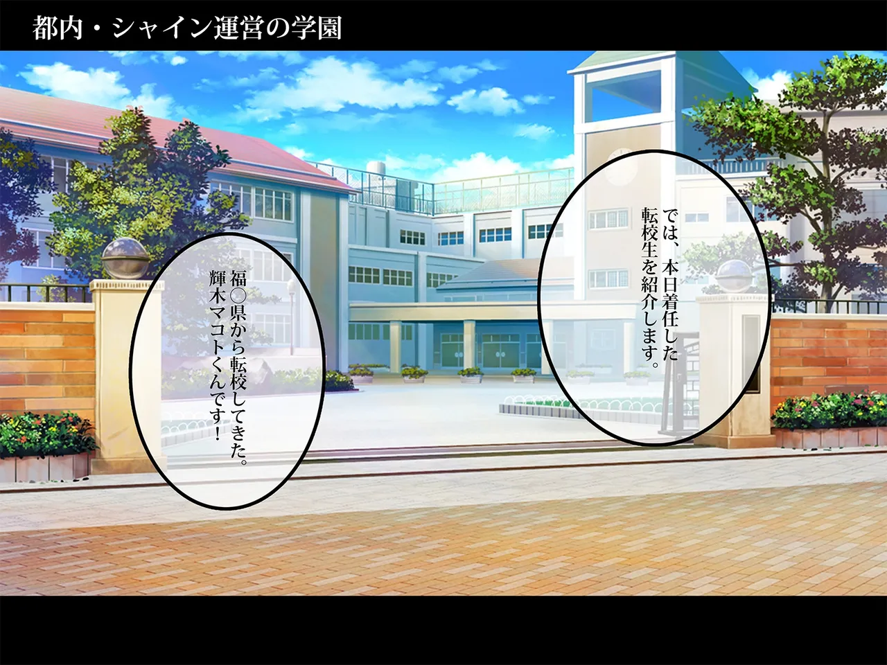 TSマコライト Page.19