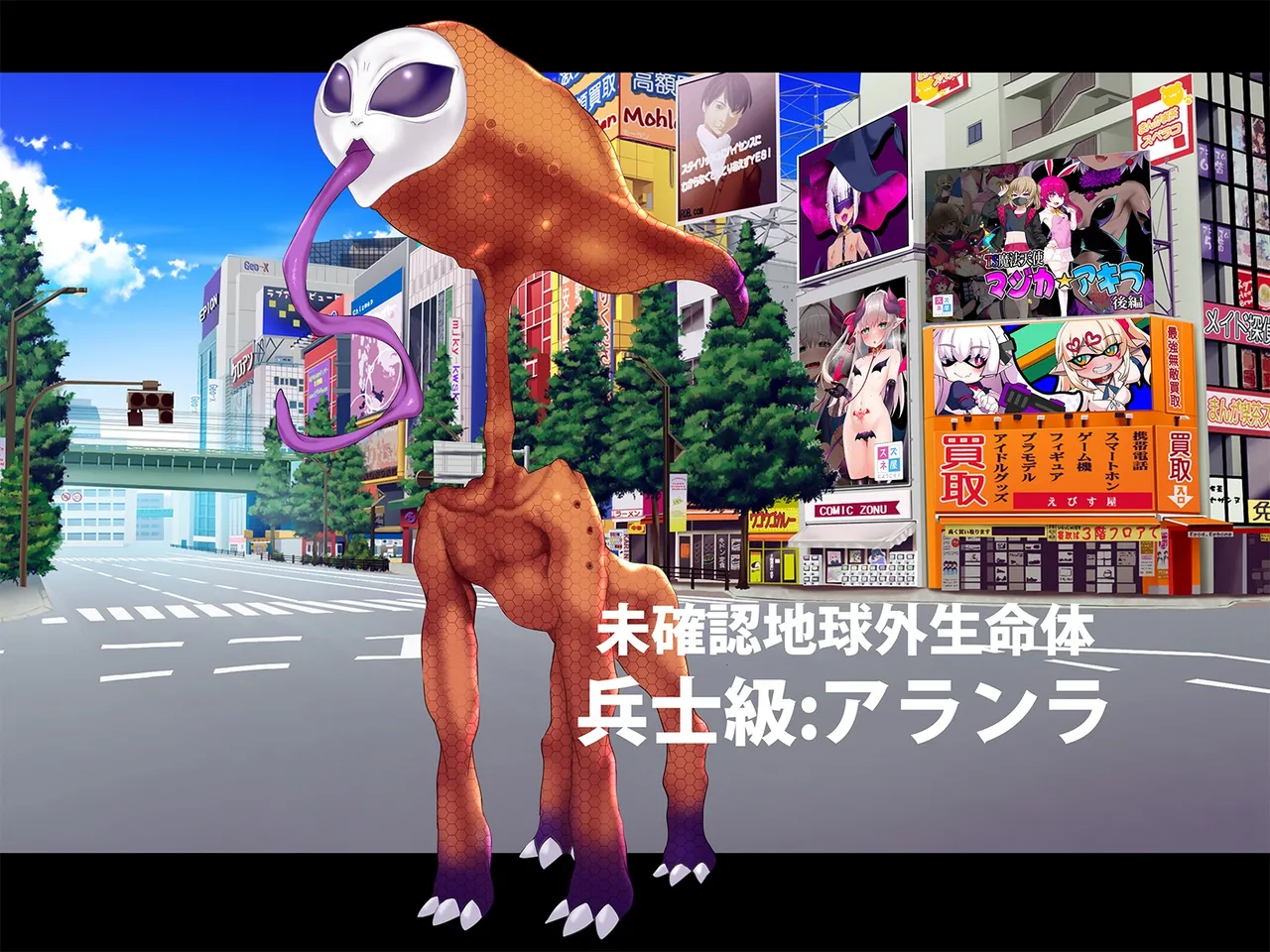 TSマコライト Page.2