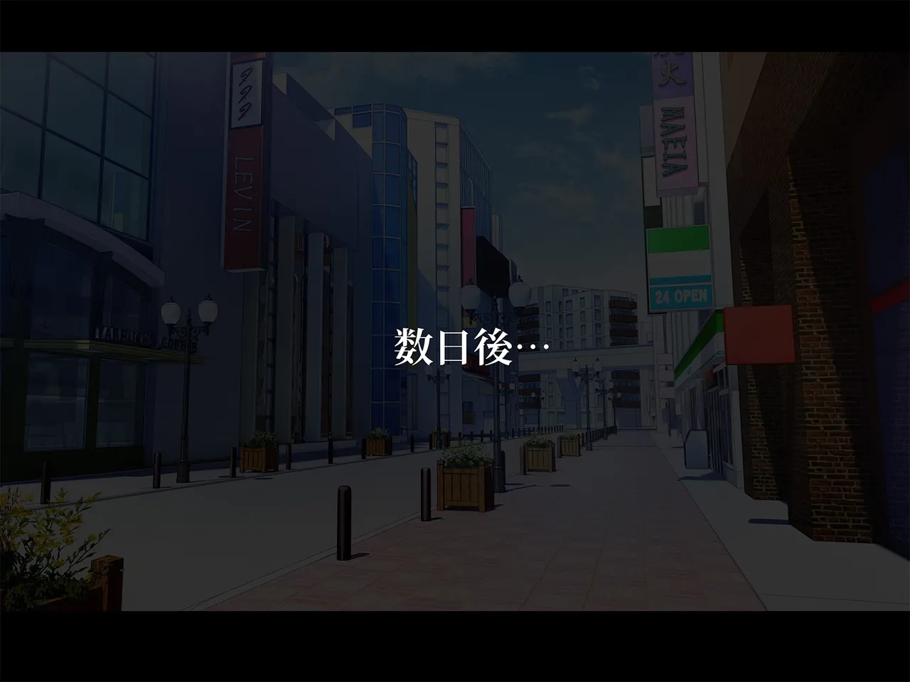TSマコライト Page.208