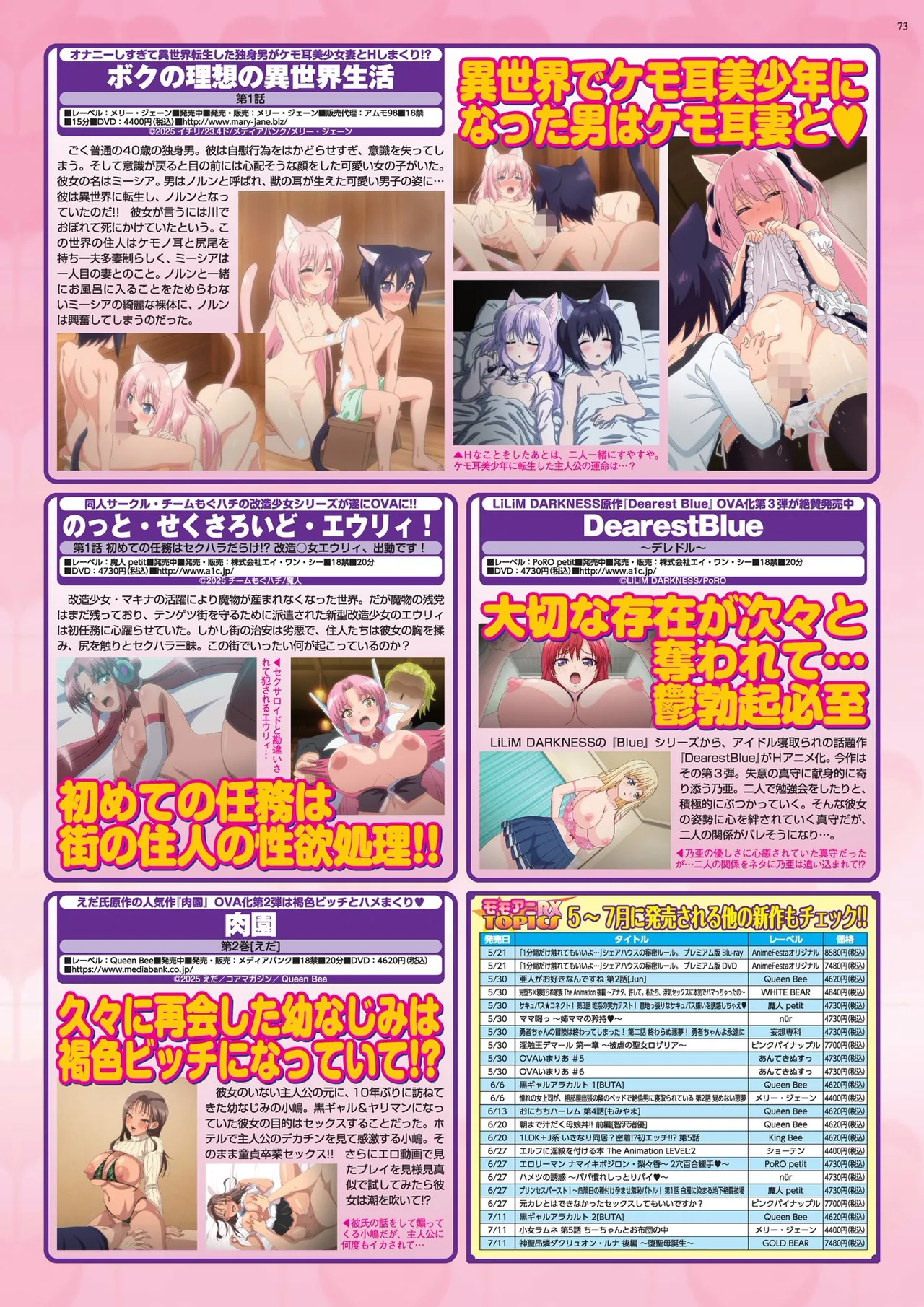 BugBug 2025年6月号 Page.73