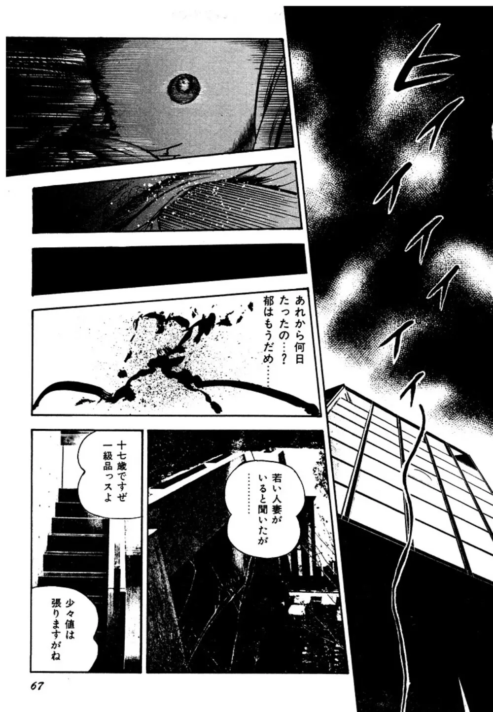 幼な妻・強制絶頂遊戯 Page.67