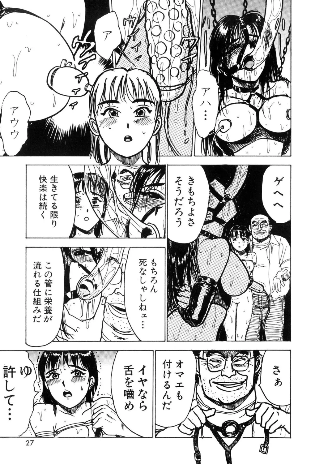 監禁凌辱【新装版】 Page.29