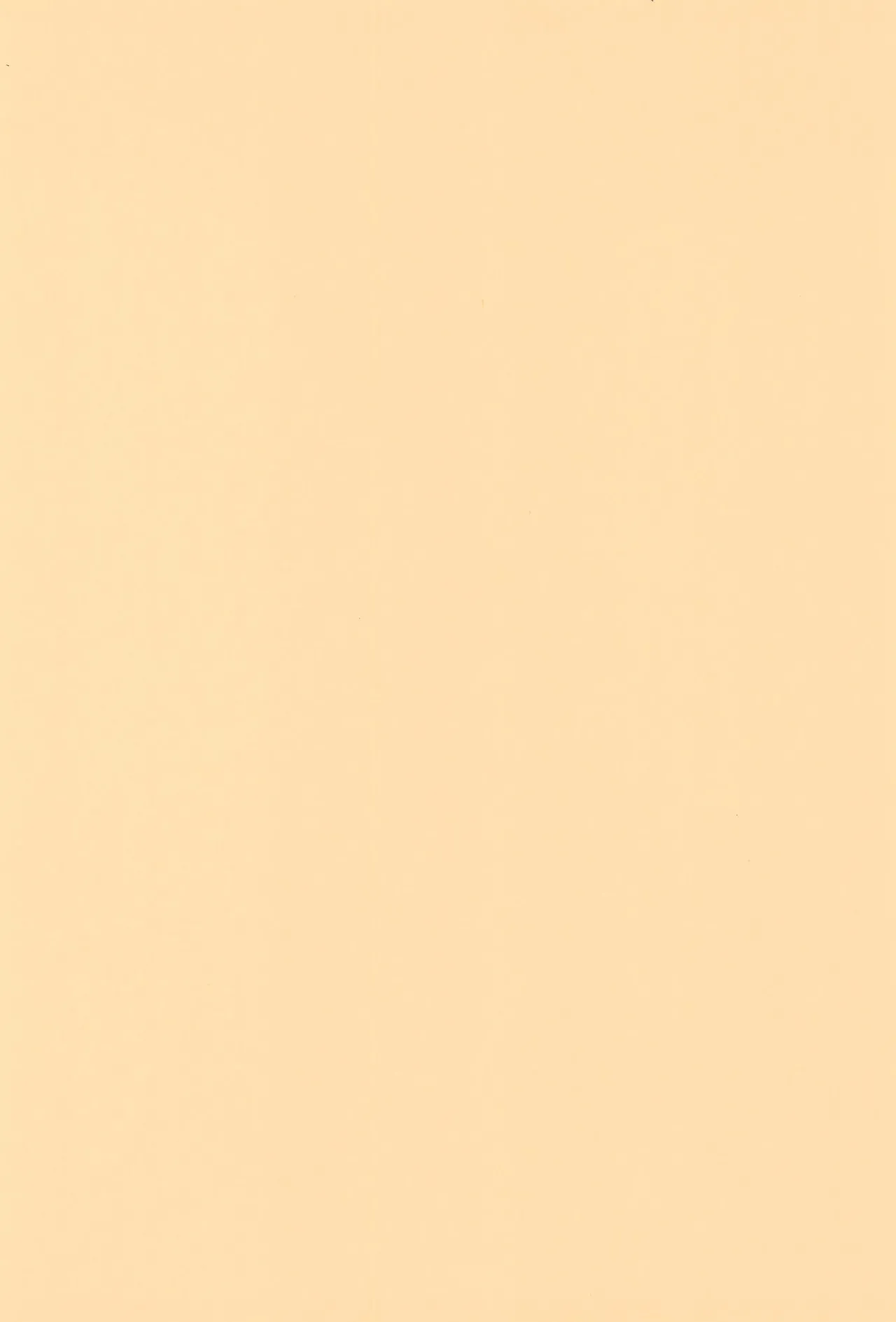 誓約書 Page.4